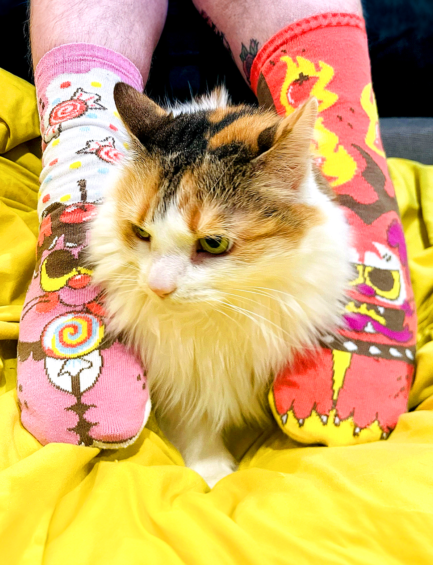 ADULT PURRTY SWEET & FELINE SPICY SOCKS-3